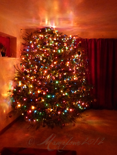 beautifully decorated coloured real christmas tree